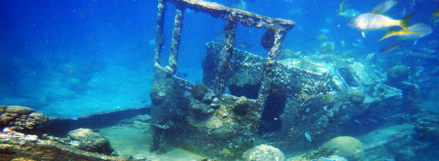 Tugboat And Reef Snorkel Tour